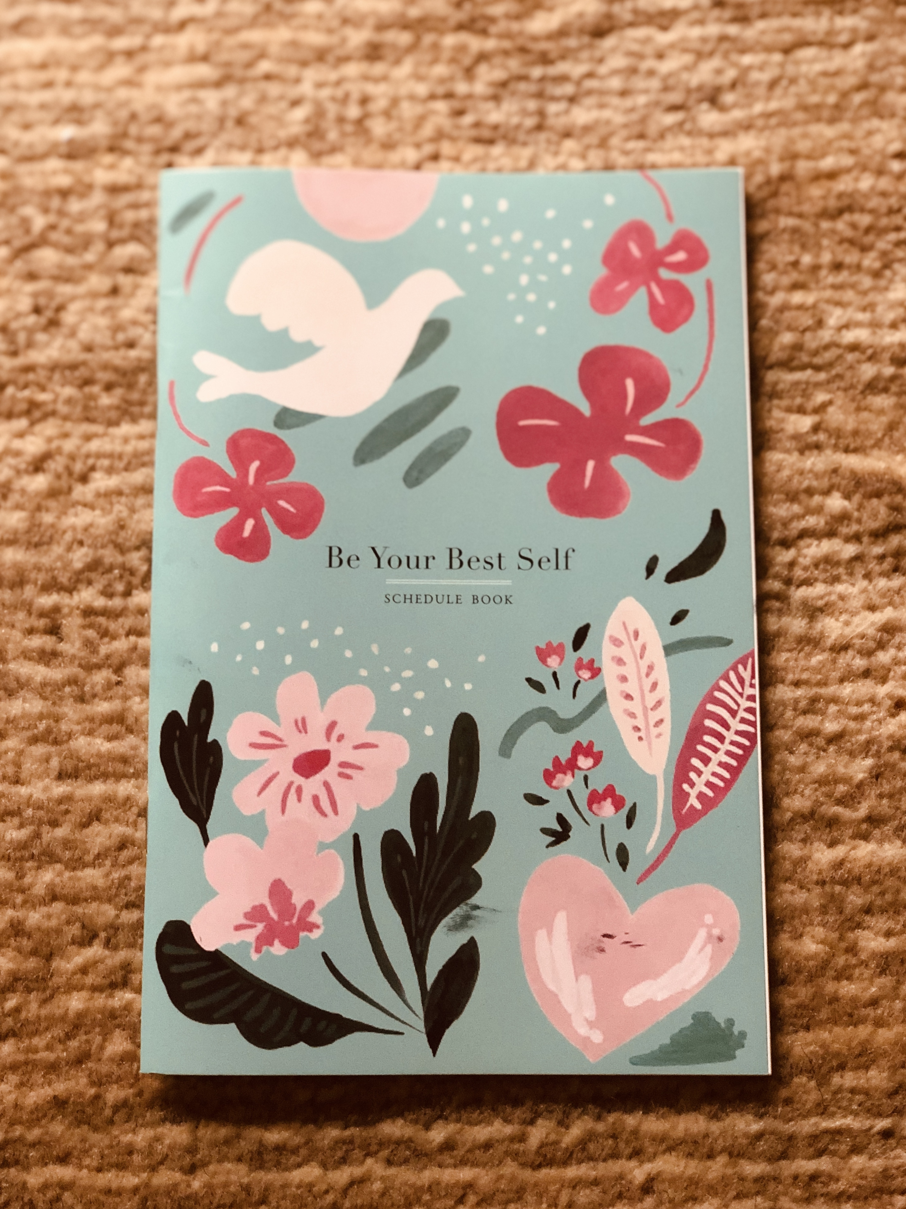 52466998-E395-44A2-A74C-F337A296FFEF